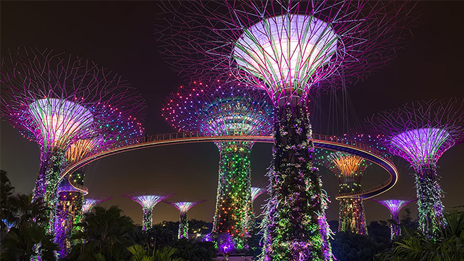 Gardens by the Bay + Supertree Grove