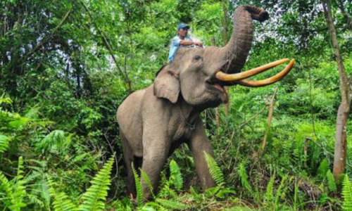 Berikut Ini Dia Destinasi Wisata Riau untuk Menikmati Alam
