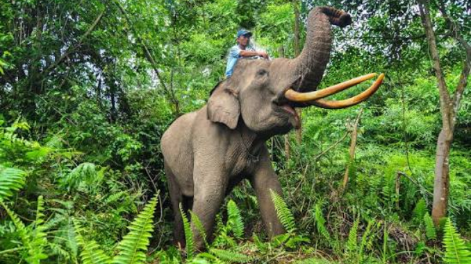 Berikut Ini Dia Destinasi Wisata Riau untuk Menikmati Alam