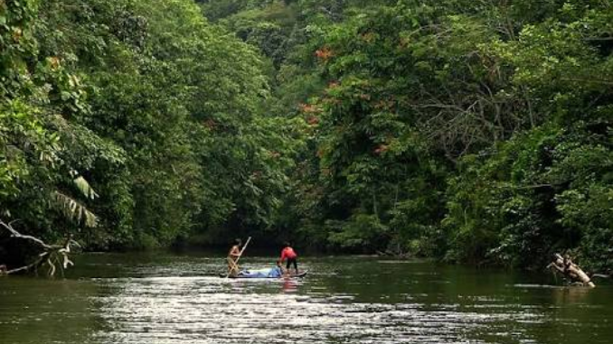 Destinasi wisata di Riau tanpa mengurangi nilai alamnya. Hutan, air, bukit, mangrove, dan pulau akan tetap menarik ketika pengunjung datang dengan sikap yang lebih peduli.